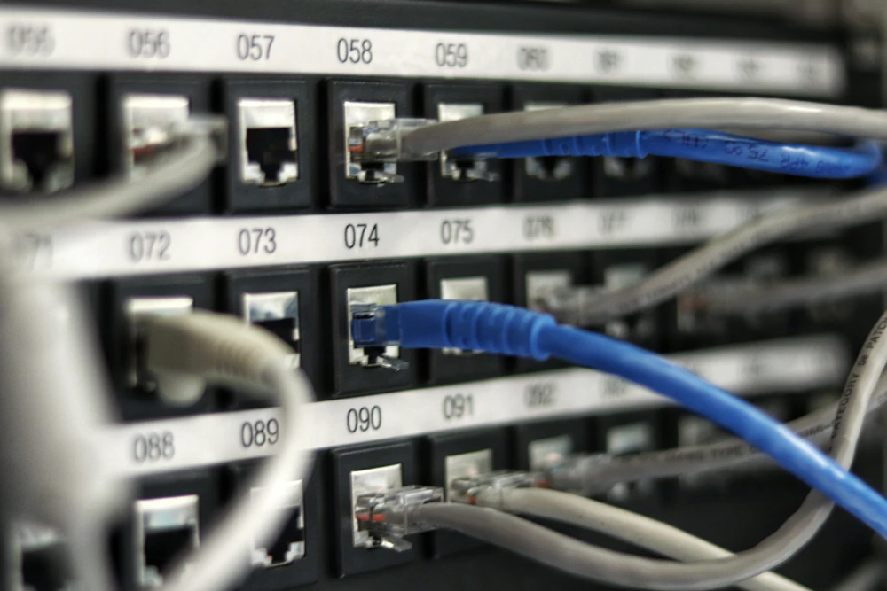 Close-up of network switch infrastructure and patch cabling